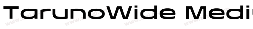 TarunoWide MediumIta字体转换